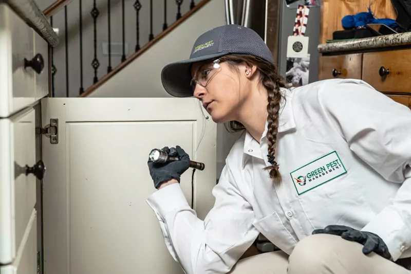 Green Pest Management technician inspecting female Green Pest Management exterminator inspecting cabinet for pests