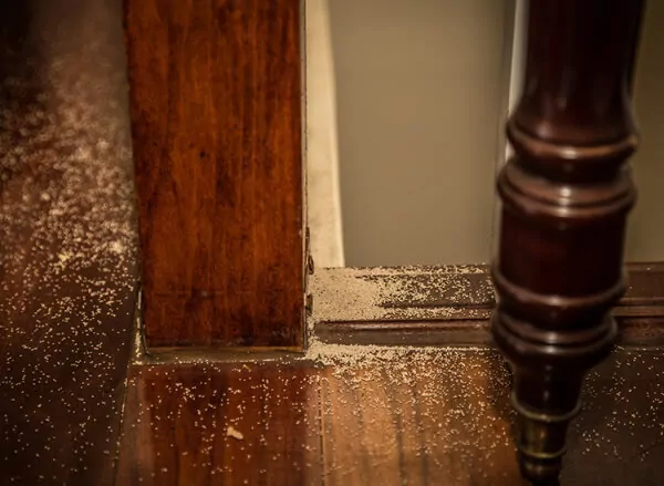 pic copy Termite dust at the base of a wooden banister