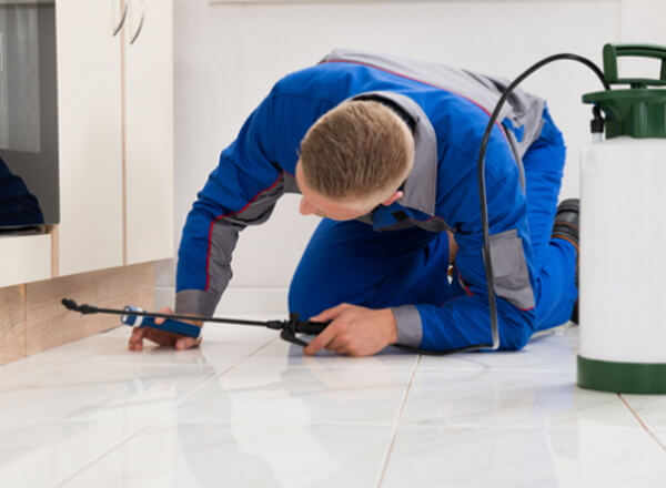 restaurant-mid-2 A pest control technician spraying under cabinetry
