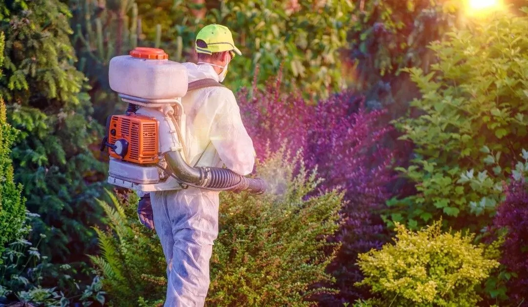 Green Pest Management pest control technician wearing spray gear and spraying greenery in a yard