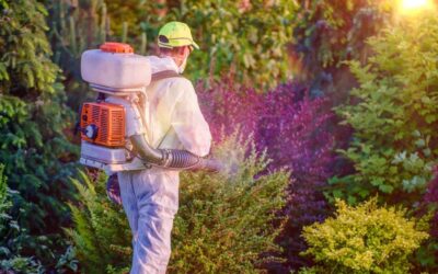 Welcome To Green Pest Management!