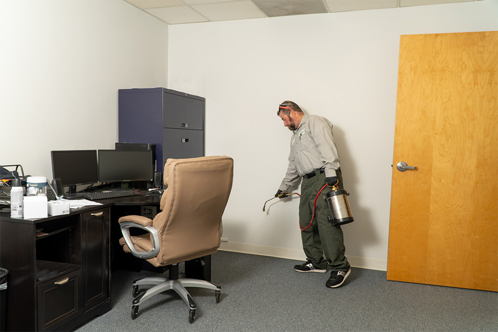 Green Pest Management technician spraying an office for pests