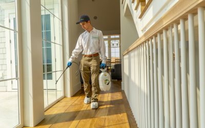 How to Prepare Your Home for Professional Pest Treatments