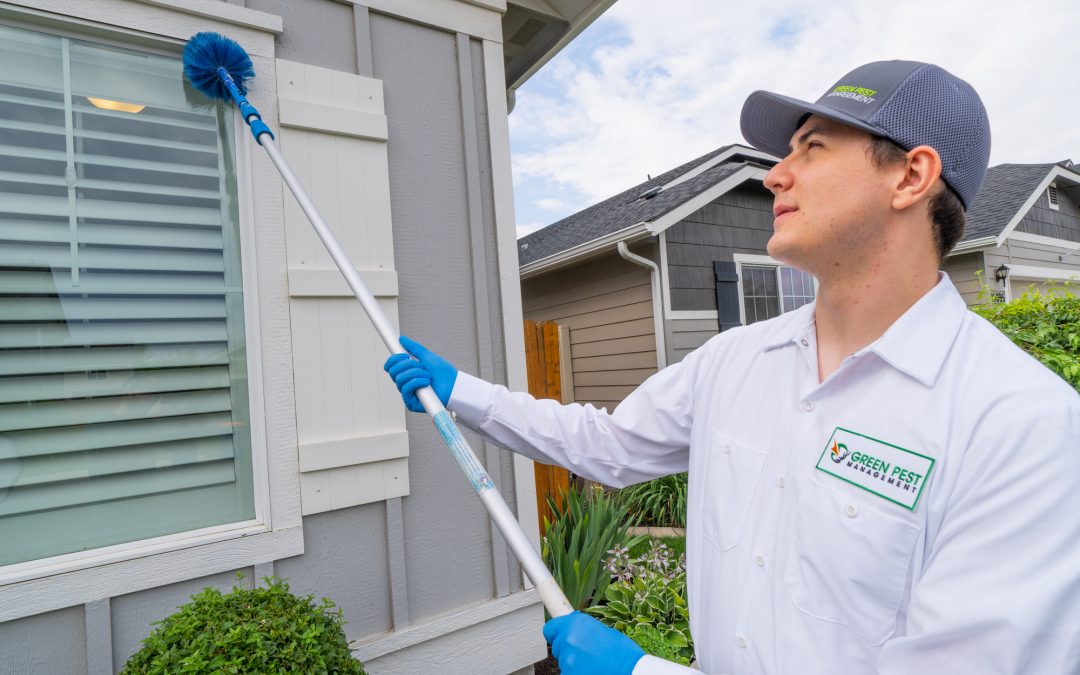 How Integrated Pest Management (IPM) Keeps Your Home Pest-Free