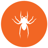 spider icon