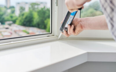 How to Pest‑Proof Your Home on a Budget