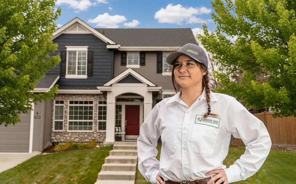 What Attracts Pests to Your Home and How to Avoid It