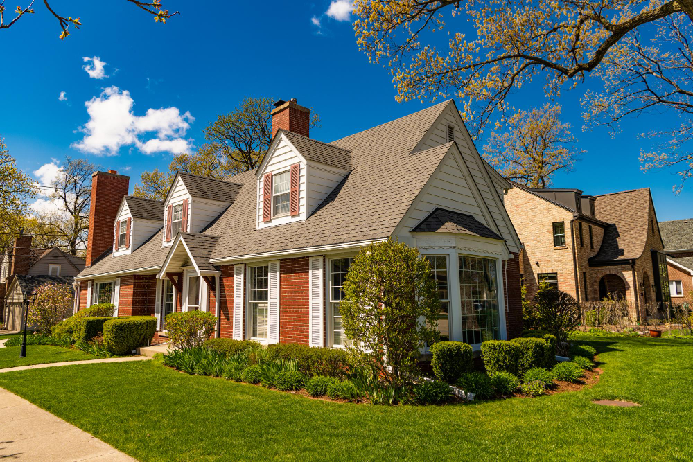 Top 10 DIY Pest Control Hacks That Actually Work