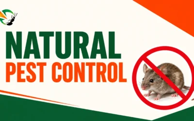 Natural Pest Prevention: 10 Ways to Pest-Proof Your Home Today