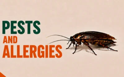 Pest Allergies Explained: Cockroaches, Dust Mites, Fleas & More