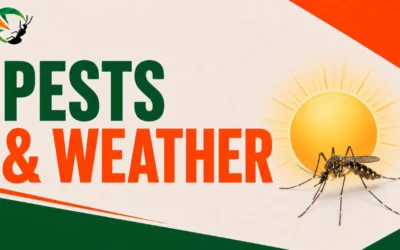 2026 Seasonal Pest Guide: How Infestations Change With Weather 101